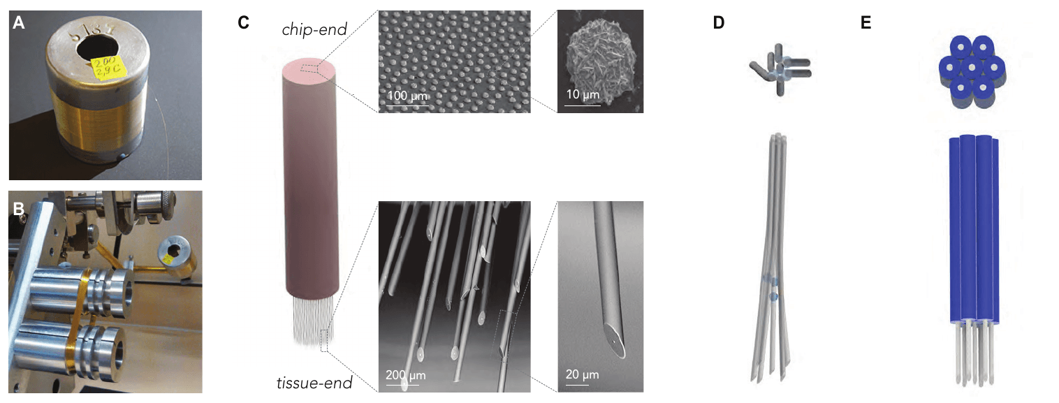 Composite figure. (A) A spool of glass-coated microwire. (B) A bundle being wound on a fibre-winding machine. (C) Electron micrographs of the chip end, showing polished wire ends with gold bumps, and the tissue end, showing sharpened wire tips. (D) Diagrams of wires with a sacrificial spacer layer before and after bundling.