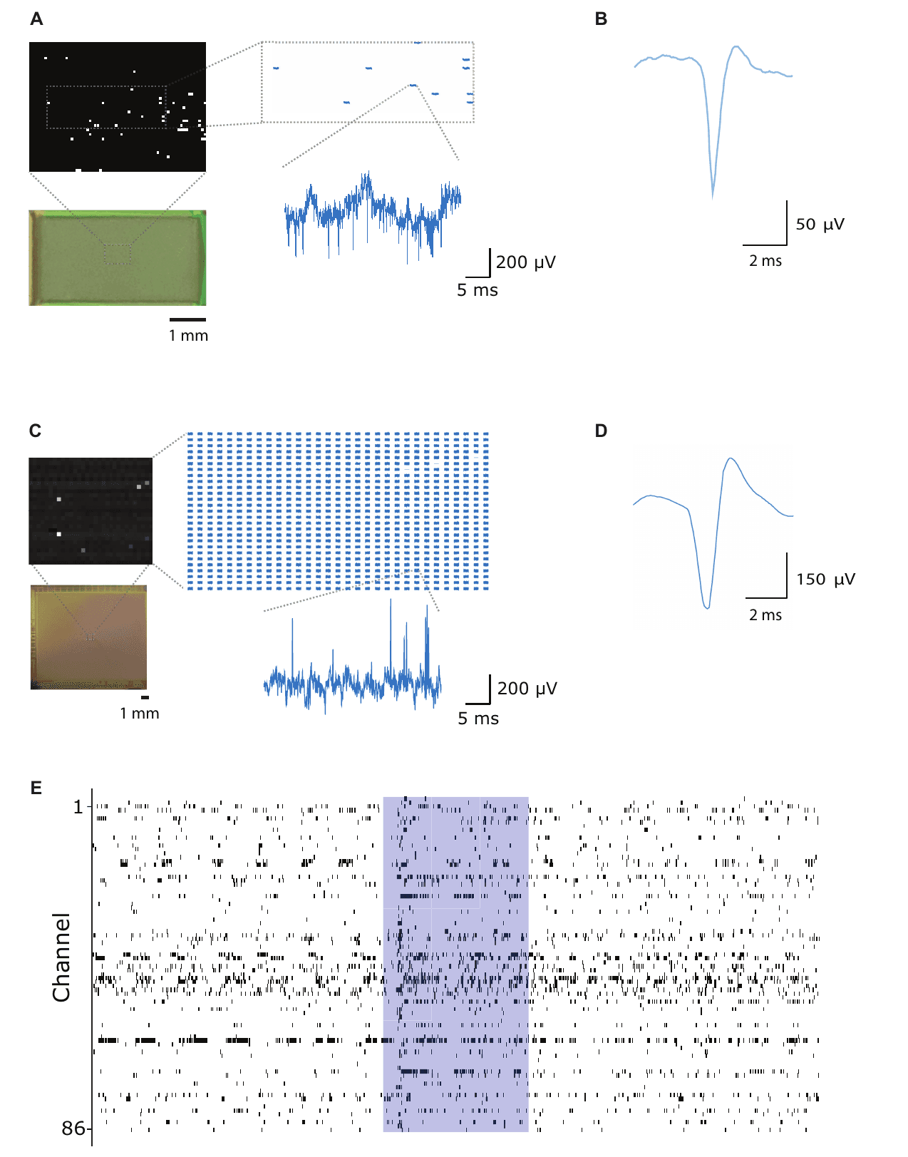 Composite figure. (A) Map of MEA chip pixels with voltage traces from connected wires. (B) Average spike waveform recorded with the MEA chip. (C) Camera chip frame with traces from a subset of connected pixels. (D) Average spike waveform recorded with the camera chip. (E) Raster of spike events across 86 channels, with a shaded band marking a one-second odour stimulus.
